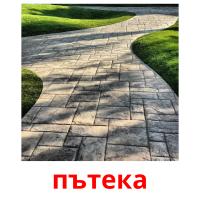 пътека picture flashcards
