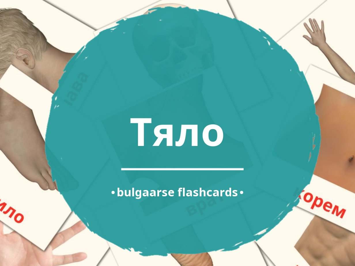 26 GRATIS Lichaamsdelen Flashcards In 4 PDF Formaten | Bulgaarse ...