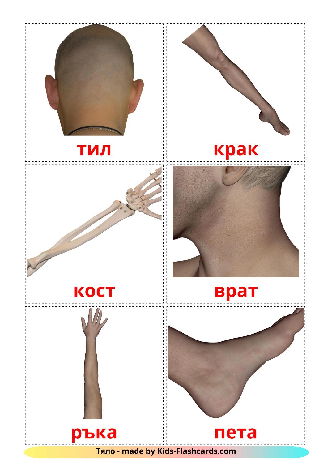 Body Parts - 26 Free Printable bulgarian Flashcards 
