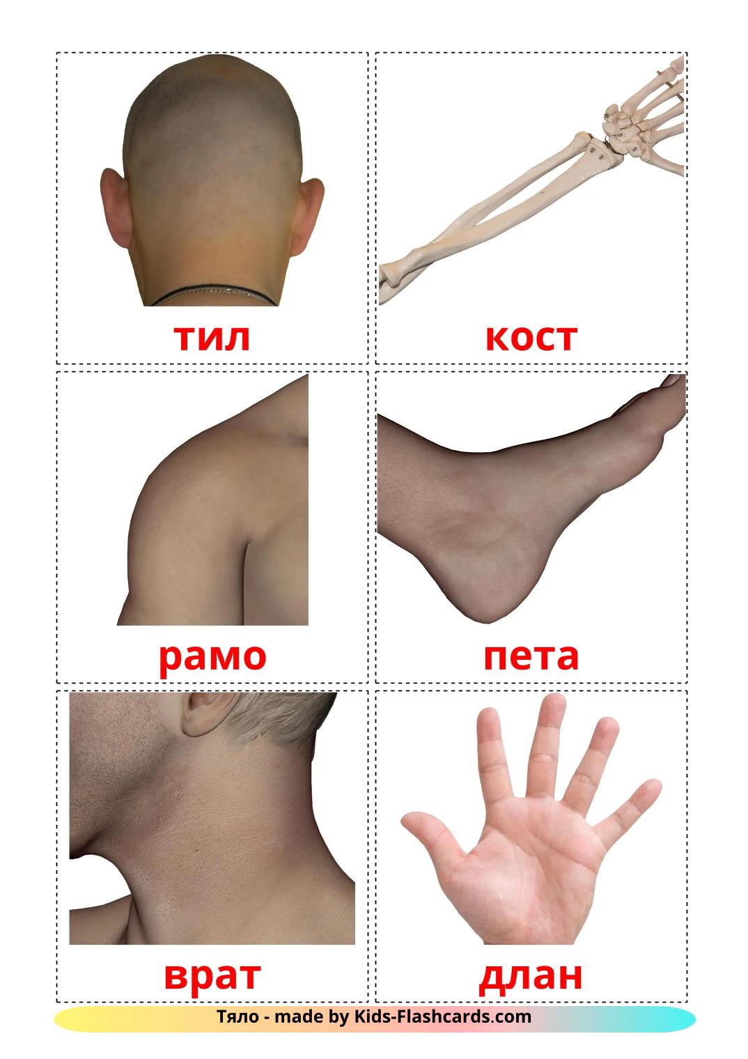 Body Parts - 26 Free Printable bulgarian Flashcards 