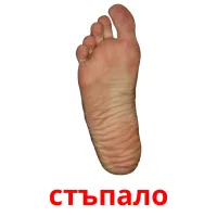 стъпало picture flashcards