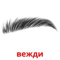 вежди picture flashcards
