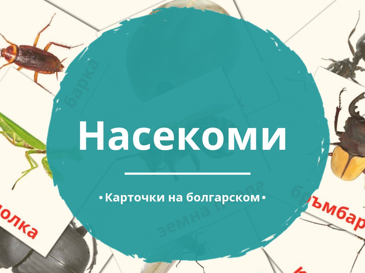 23 Бесплатные Карточки Насекомые на Болгарском | PDF