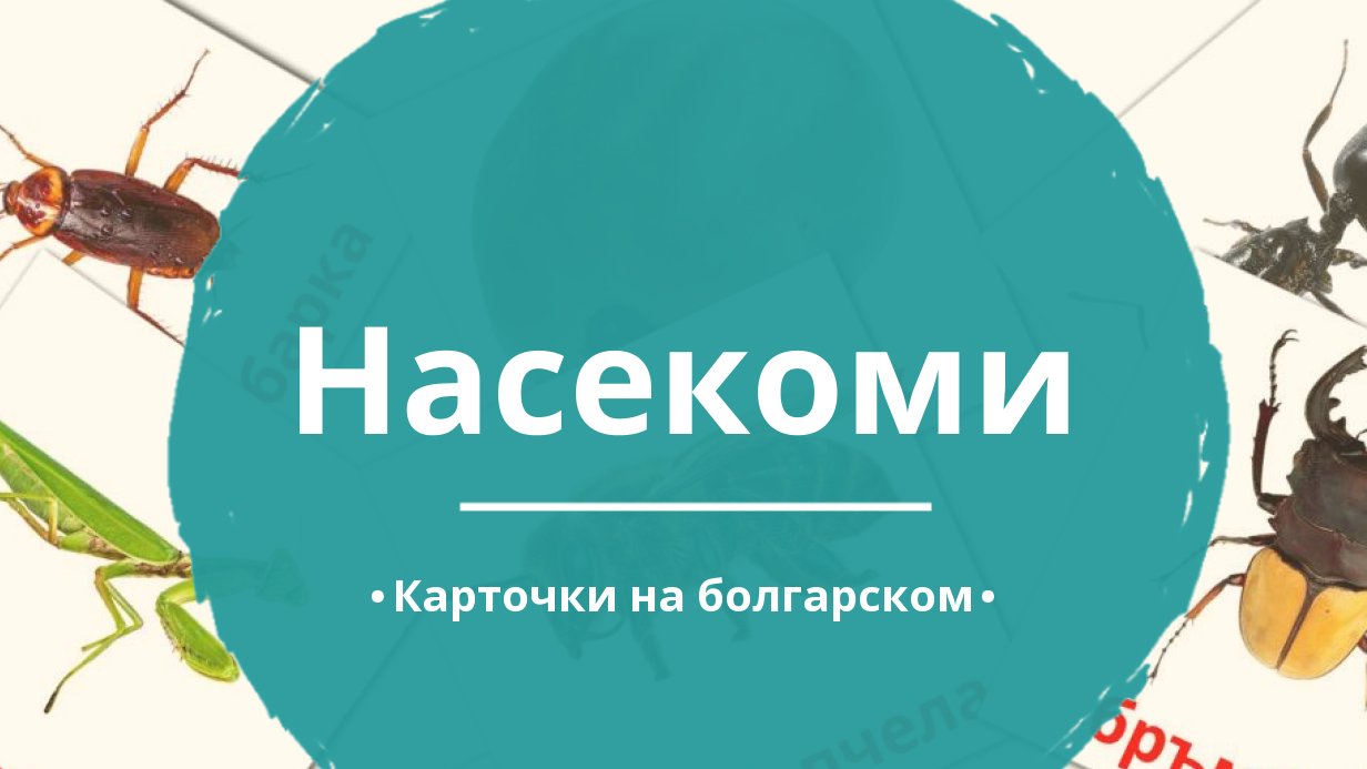 23 Бесплатные Карточки Насекомые на Болгарском | PDF