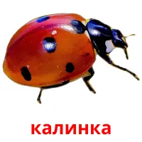 калинка picture flashcards