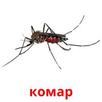 комар card for translate