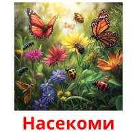 Насекоми picture flashcards