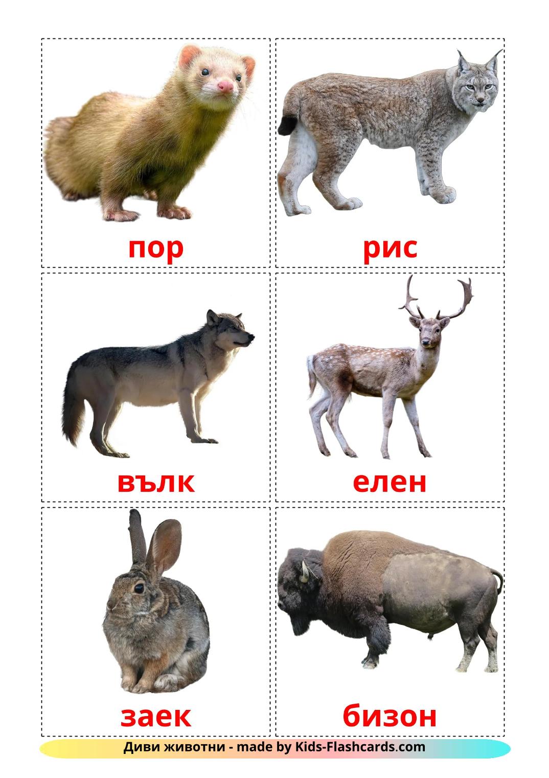 Forest animals - 23 Free Printable bulgarian Flashcards 