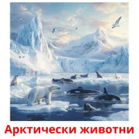 Арктически животни picture flashcards