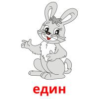 един picture flashcards