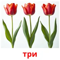 три picture flashcards