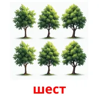 шест picture flashcards