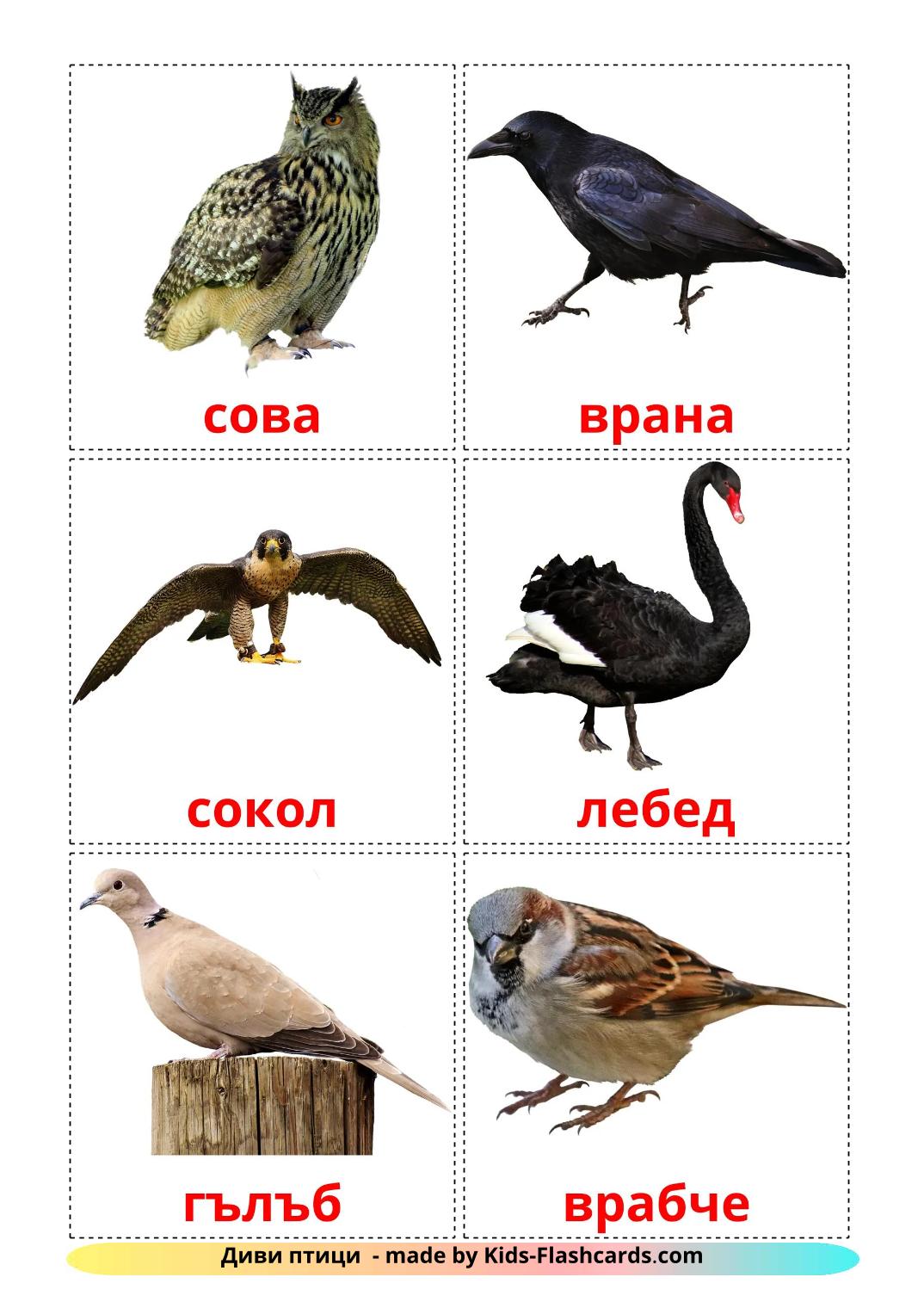 Wild birds - 19 Free Printable bulgarian Flashcards 