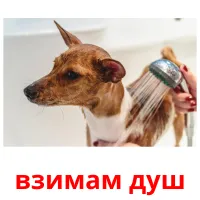 взимам душ picture flashcards