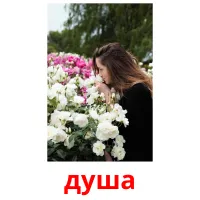 душа picture flashcards