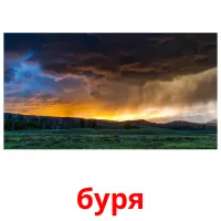 буря picture flashcards