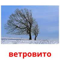 ветровито picture flashcards