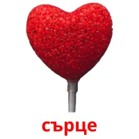 сърце picture flashcards