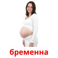 бременна picture flashcards