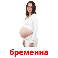 бременна picture flashcards