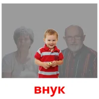 внук picture flashcards