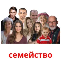 семейство picture flashcards