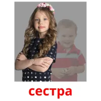 сестра picture flashcards