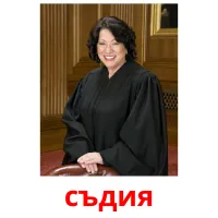 съдия picture flashcards