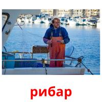 рибар picture flashcards