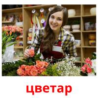 цветар picture flashcards