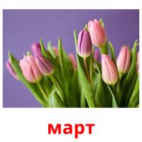 март picture flashcards