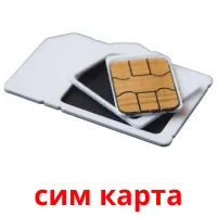 сим карта picture flashcards