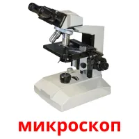 микроскоп picture flashcards