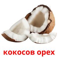 кокосов орех card for translate