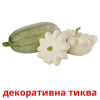 декоративна тиква picture flashcards