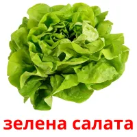 зелена салата picture flashcards