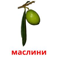 маслини picture flashcards