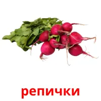 репички picture flashcards