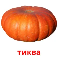 тиква picture flashcards