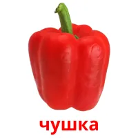 чушка picture flashcards