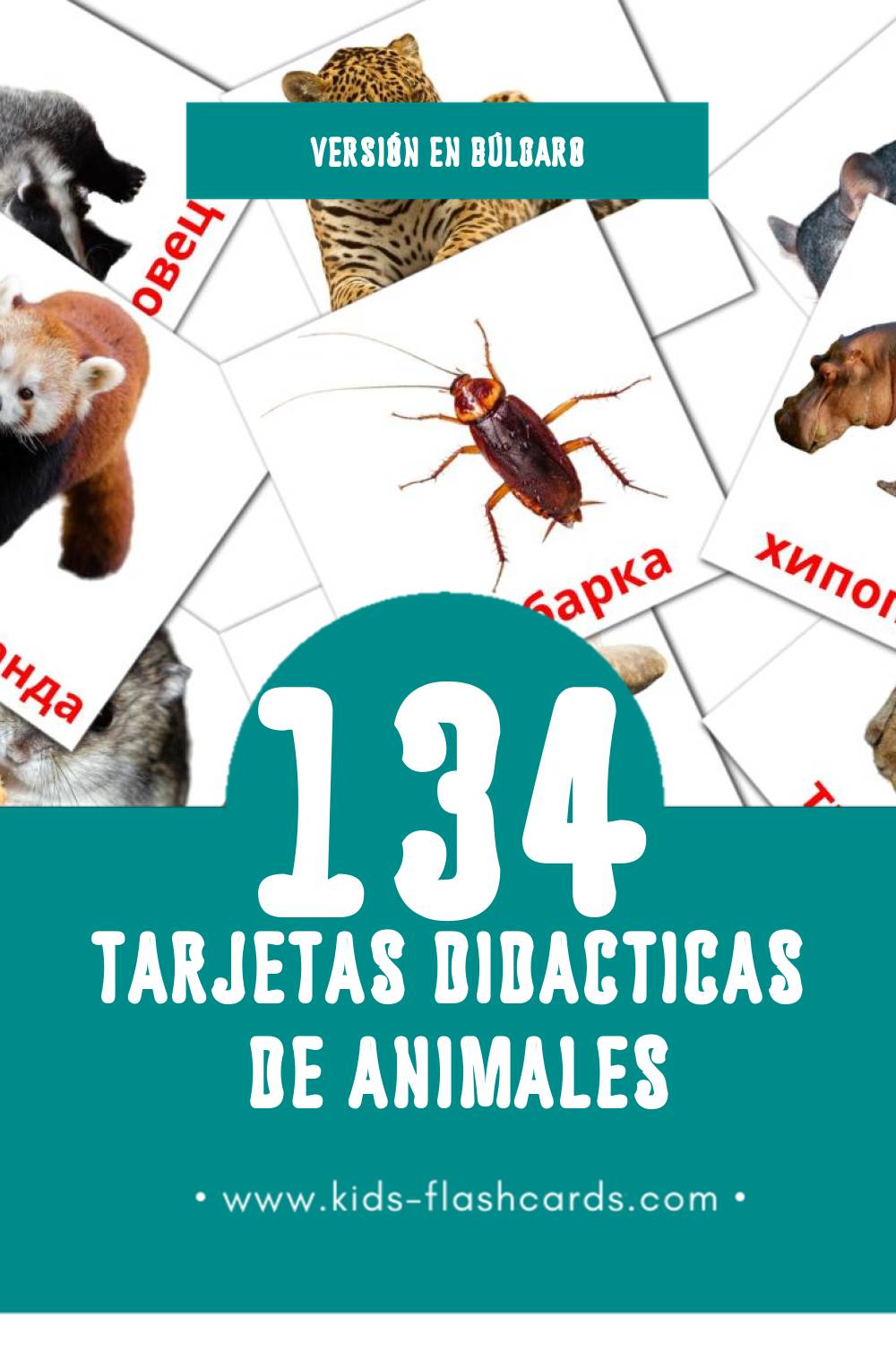Tarjetas visuales de Животни para niños pequeños (134 tarjetas en Búlgaro)