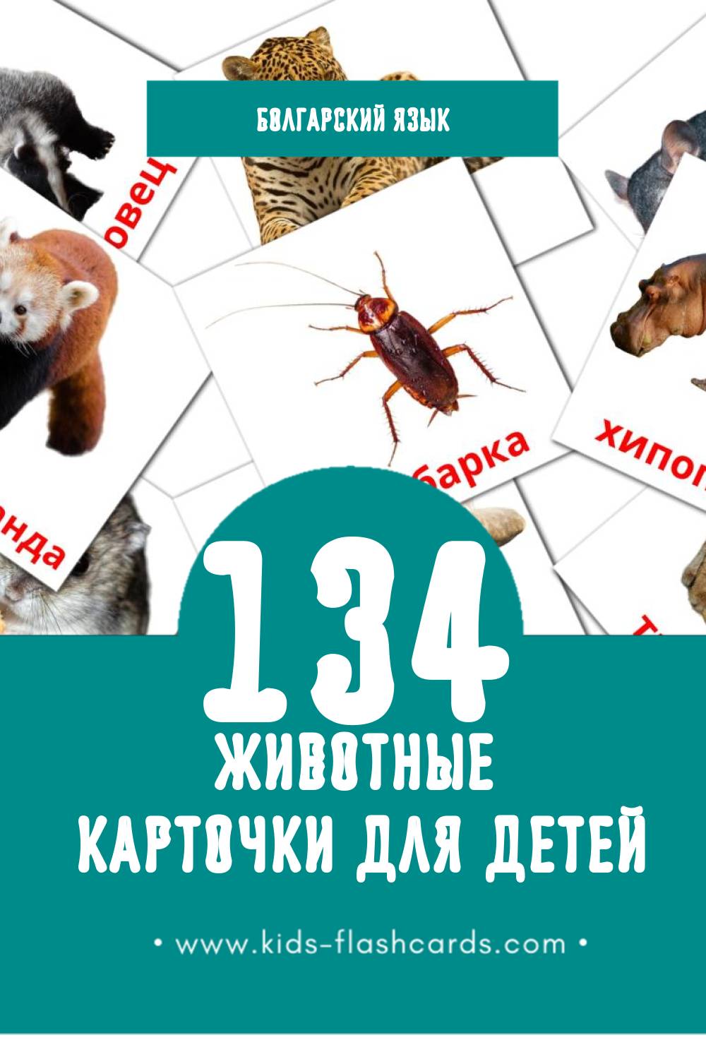 "Животни" - Визуальный Болгарском Словарь для Малышей (134 картинок)