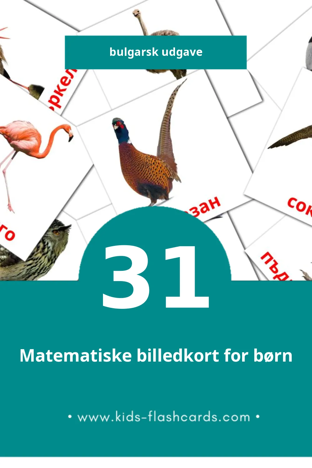 Visuelle billedkort for børn om Птици til småbørn (31 kort på Bulgarsk)