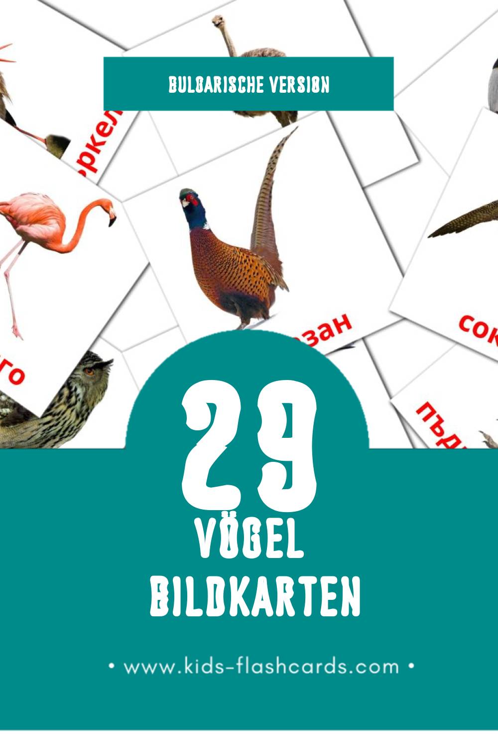 Visual Птици Flashcards für Kleinkinder (29 Karten in Bulgarisch)