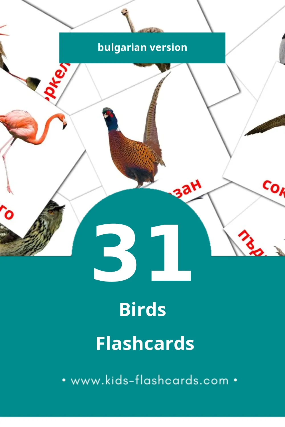 Visual Птици Flashcards for Toddlers (31 cards in Bulgarian)