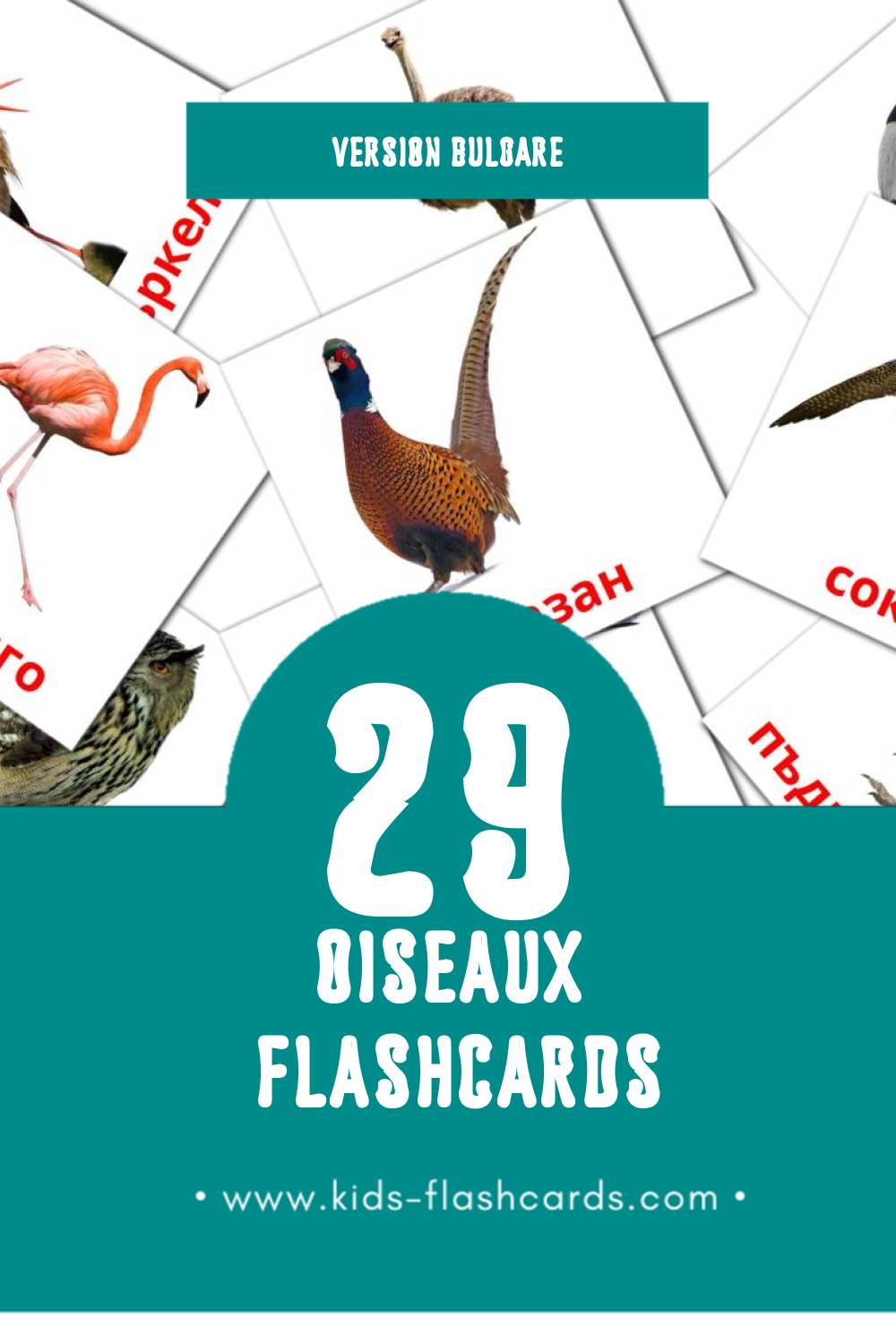 Flashcards Visual Птици pour les tout-petits (29 cartes en Bulgare)