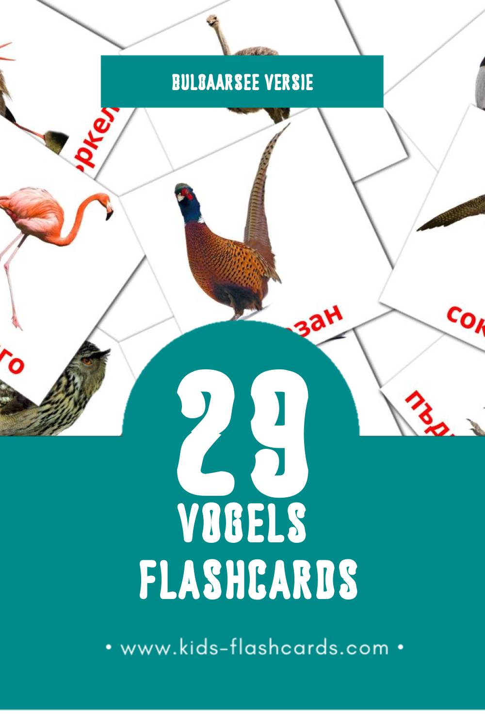Visuele Птици Flashcards voor Kleuters (29 kaarten in het Bulgaarse)