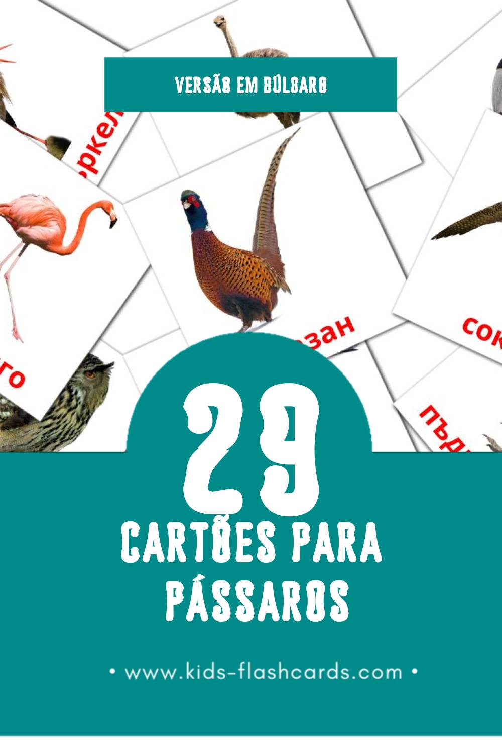 Flashcards de Птици Visuais para Toddlers (29 cartões em Búlgaro)