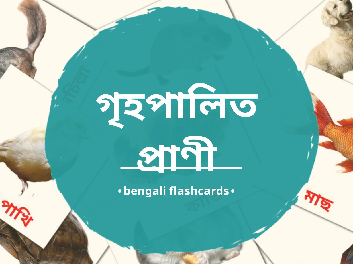 Domestic Animals In Bengali