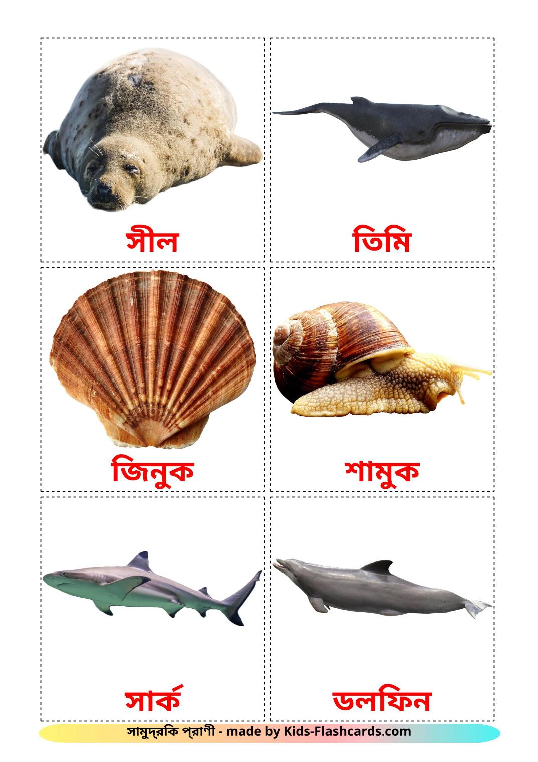 Les Animaux Marins - 29 Flashcards bengali imprimables gratuitement